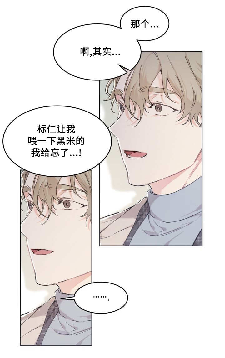 《猫的项圈》漫画最新章节第41话免费下拉式在线观看章节第【31】张图片