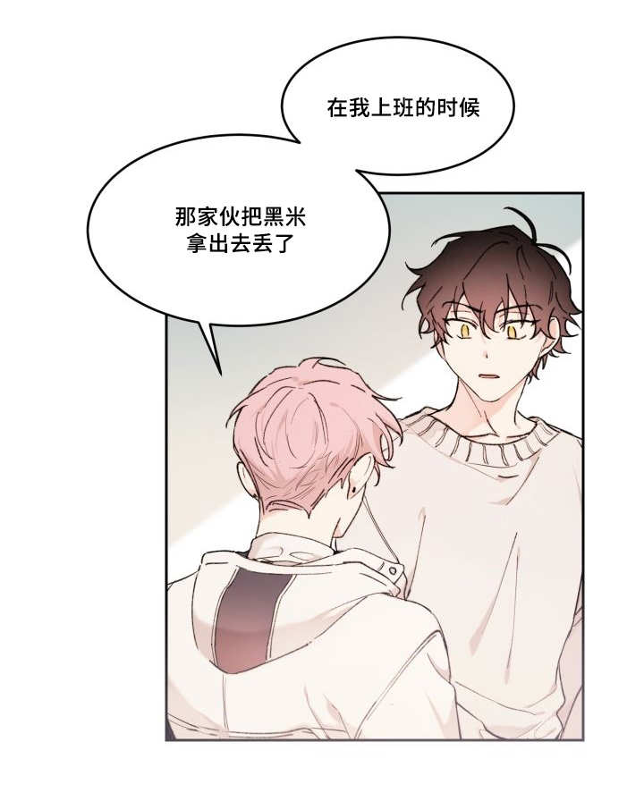 《猫的项圈》漫画最新章节第45话免费下拉式在线观看章节第【17】张图片