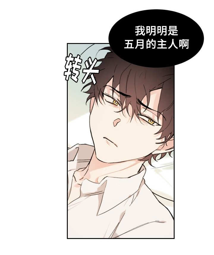 《猫的项圈》漫画最新章节第35话免费下拉式在线观看章节第【17】张图片