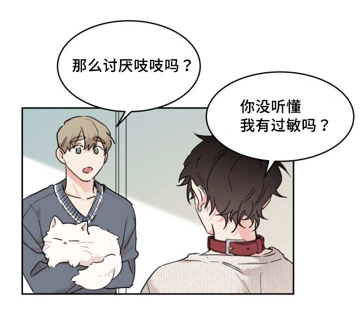 《猫的项圈》漫画最新章节第28话免费下拉式在线观看章节第【31】张图片