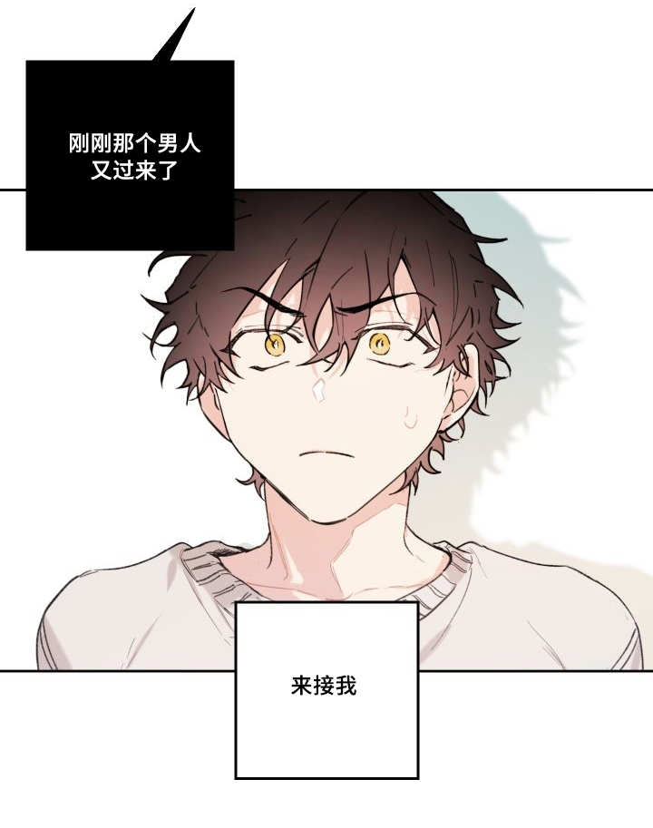 《猫的项圈》漫画最新章节第48话免费下拉式在线观看章节第【55】张图片