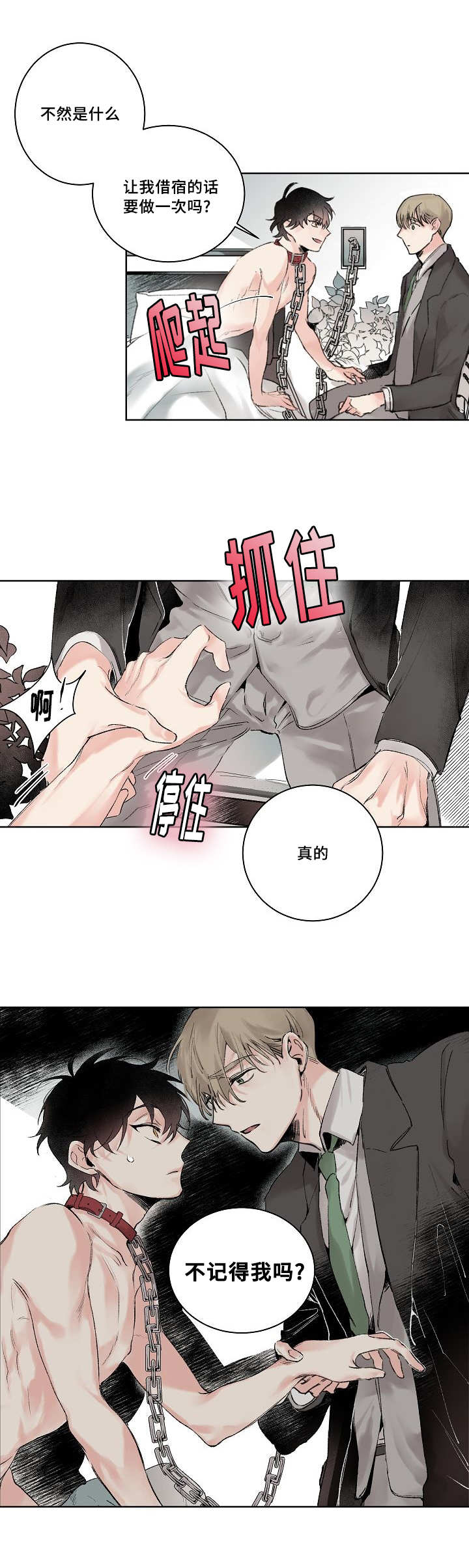 《猫的项圈》漫画最新章节第2话免费下拉式在线观看章节第【5】张图片