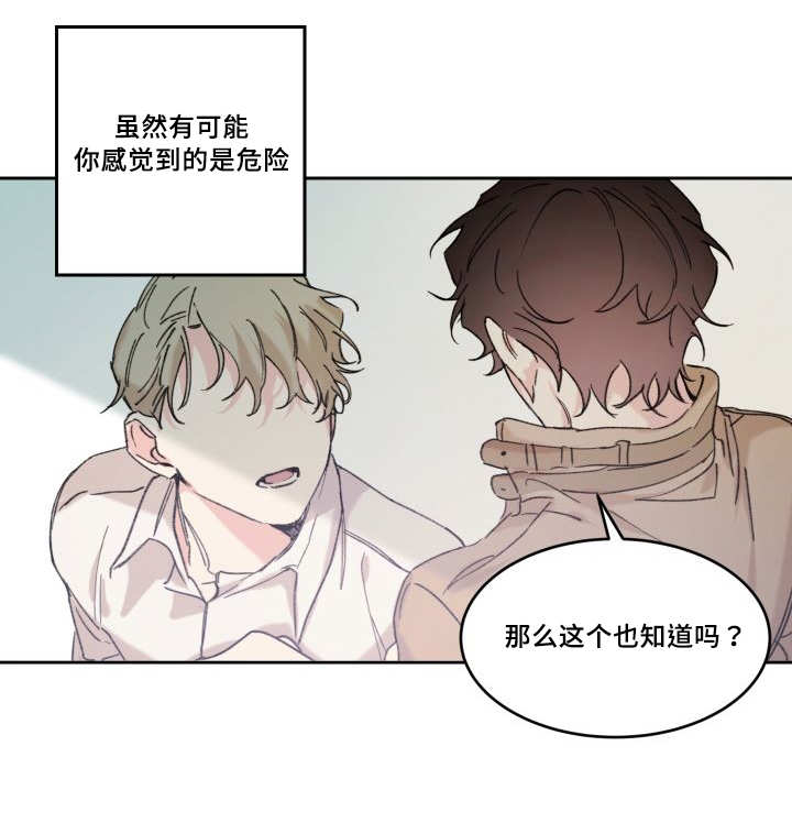 《猫的项圈》漫画最新章节第49话免费下拉式在线观看章节第【33】张图片