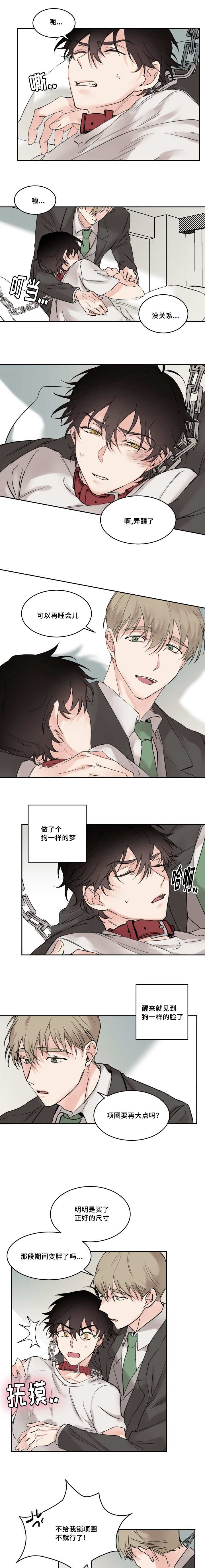 《猫的项圈》漫画最新章节第5话免费下拉式在线观看章节第【9】张图片