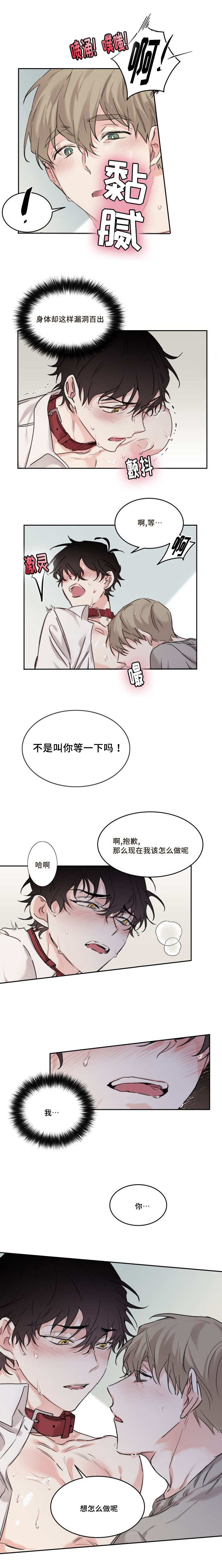 《猫的项圈》漫画最新章节第12话免费下拉式在线观看章节第【9】张图片