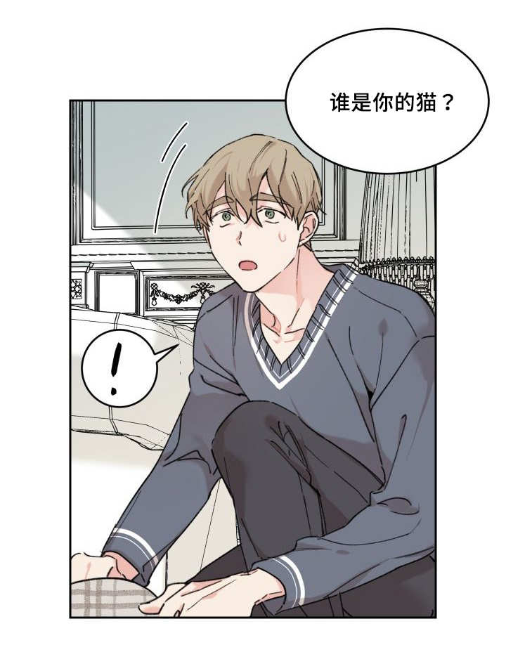 《猫的项圈》漫画最新章节第30话免费下拉式在线观看章节第【51】张图片