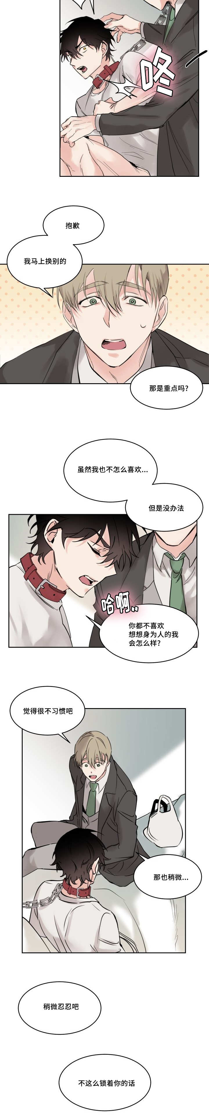 《猫的项圈》漫画最新章节第5话免费下拉式在线观看章节第【11】张图片