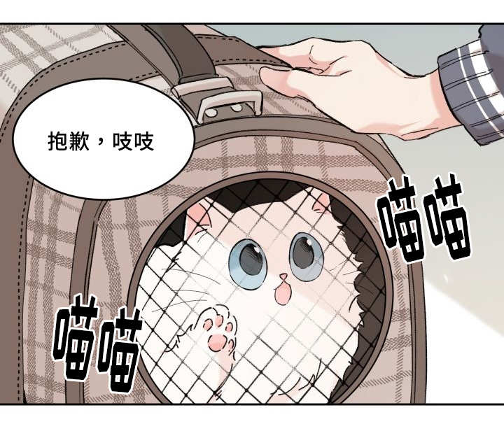 《猫的项圈》漫画最新章节第29话免费下拉式在线观看章节第【51】张图片