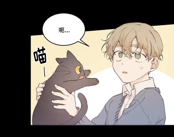 《猫的项圈》漫画最新章节第45话免费下拉式在线观看章节第【35】张图片