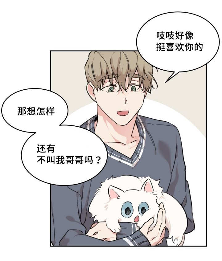 《猫的项圈》漫画最新章节第28话免费下拉式在线观看章节第【29】张图片