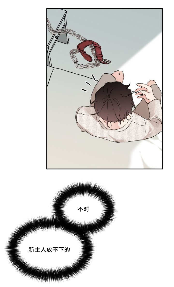 《猫的项圈》漫画最新章节第30话免费下拉式在线观看章节第【19】张图片