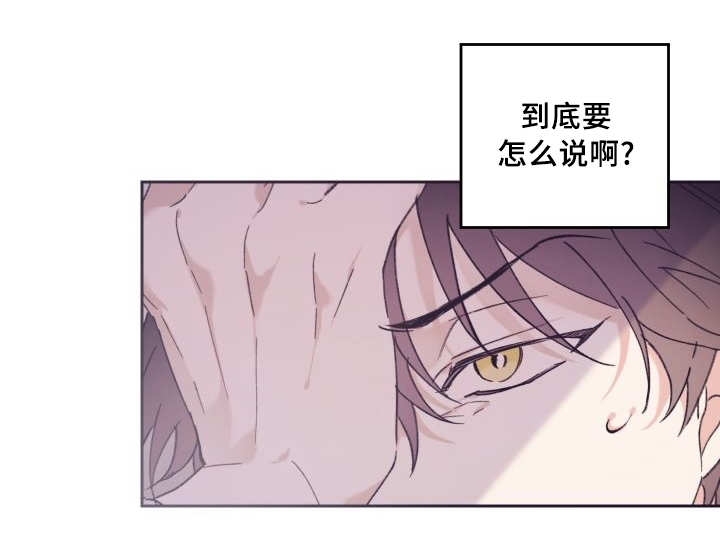 《猫的项圈》漫画最新章节第38话免费下拉式在线观看章节第【35】张图片