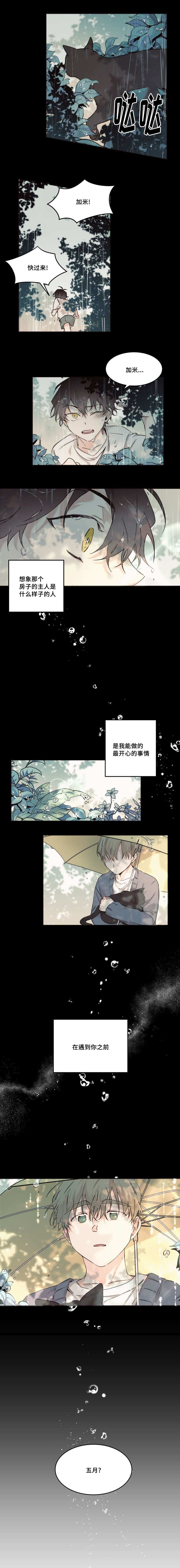 《猫的项圈》漫画最新章节第19话免费下拉式在线观看章节第【1】张图片