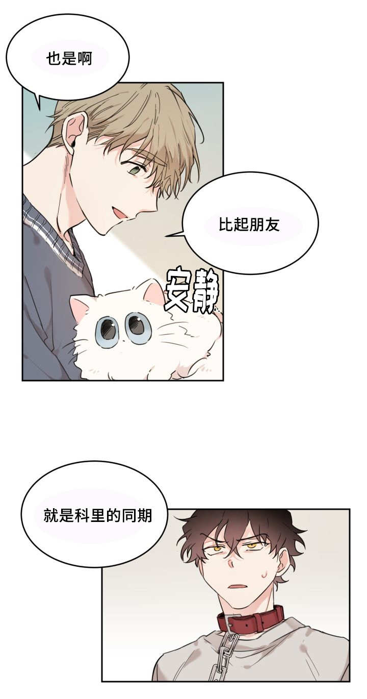 《猫的项圈》漫画最新章节第27话免费下拉式在线观看章节第【33】张图片