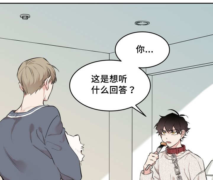 《猫的项圈》漫画最新章节第28话免费下拉式在线观看章节第【35】张图片