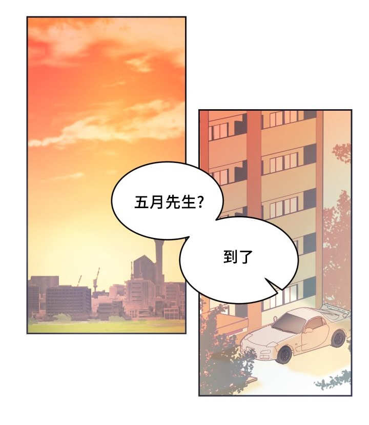 《猫的项圈》漫画最新章节第41话免费下拉式在线观看章节第【35】张图片