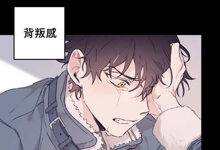 《猫的项圈》漫画最新章节第33话免费下拉式在线观看章节第【27】张图片