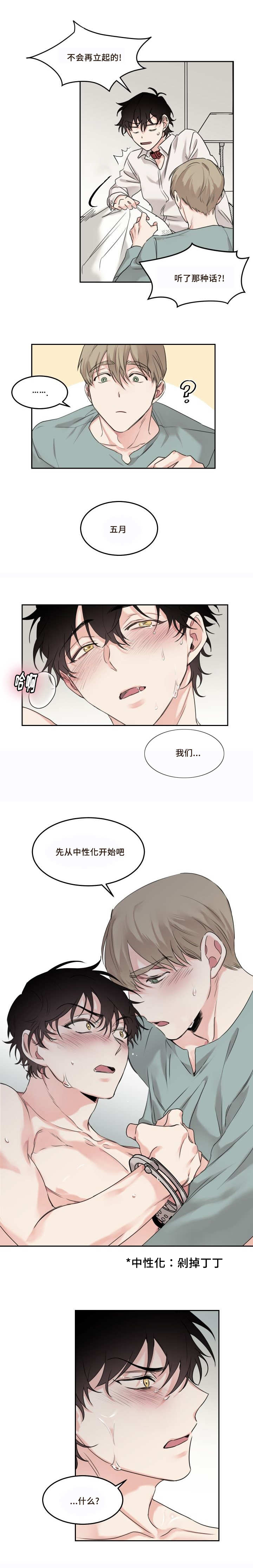 《猫的项圈》漫画最新章节第8话免费下拉式在线观看章节第【9】张图片