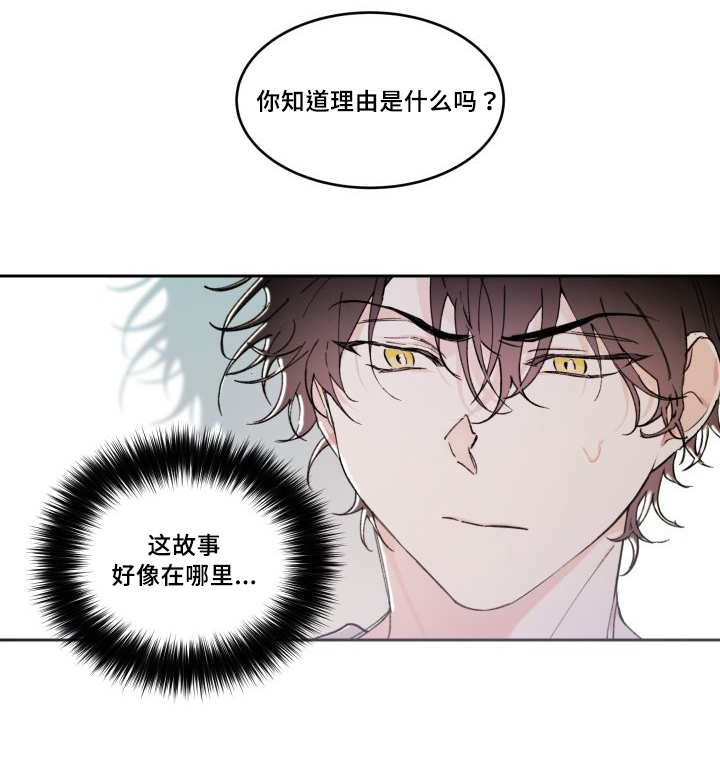 《猫的项圈》漫画最新章节第45话免费下拉式在线观看章节第【19】张图片