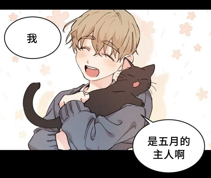 《猫的项圈》漫画最新章节第30话免费下拉式在线观看章节第【39】张图片