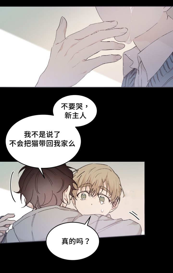 《猫的项圈》漫画最新章节第46话免费下拉式在线观看章节第【7】张图片