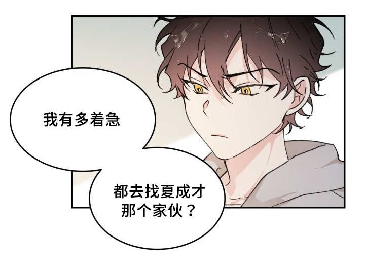 《猫的项圈》漫画最新章节第36话免费下拉式在线观看章节第【21】张图片