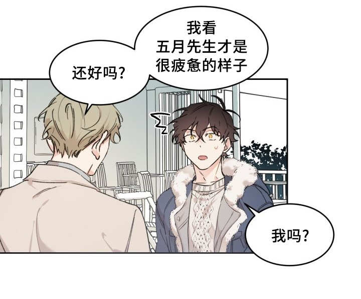 《猫的项圈》漫画最新章节第41话免费下拉式在线观看章节第【21】张图片