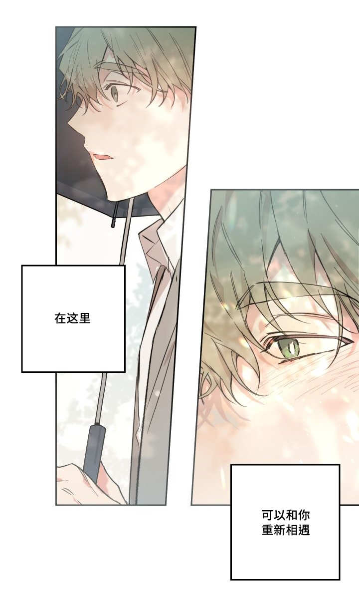 《猫的项圈》漫画最新章节第50话免费下拉式在线观看章节第【31】张图片