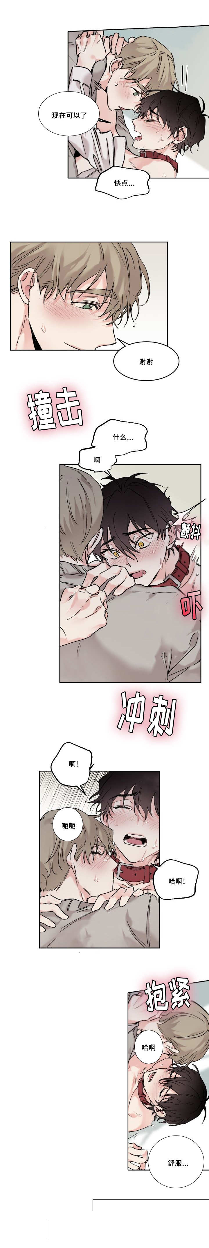 《猫的项圈》漫画最新章节第14话免费下拉式在线观看章节第【1】张图片