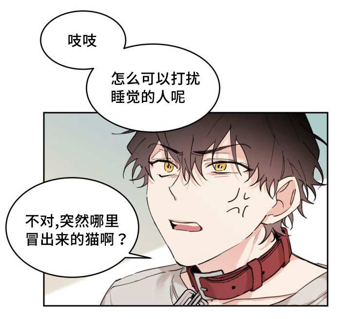 《猫的项圈》漫画最新章节第27话免费下拉式在线观看章节第【27】张图片