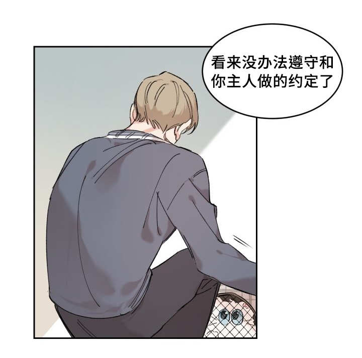 《猫的项圈》漫画最新章节第29话免费下拉式在线观看章节第【53】张图片