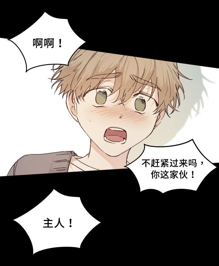 《猫的项圈》漫画最新章节第35话免费下拉式在线观看章节第【27】张图片