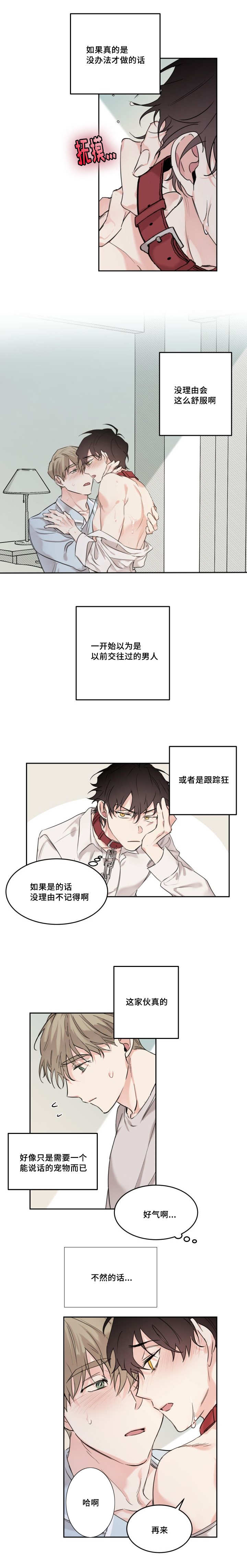 《猫的项圈》漫画最新章节第17话免费下拉式在线观看章节第【7】张图片