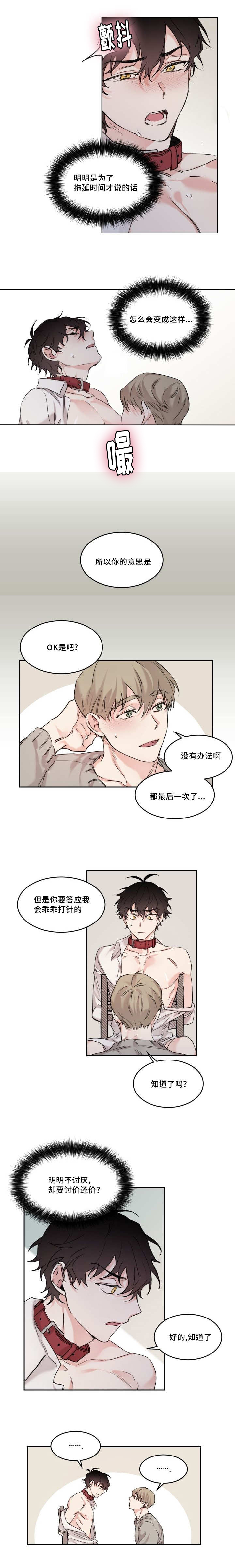 《猫的项圈》漫画最新章节第11话免费下拉式在线观看章节第【5】张图片