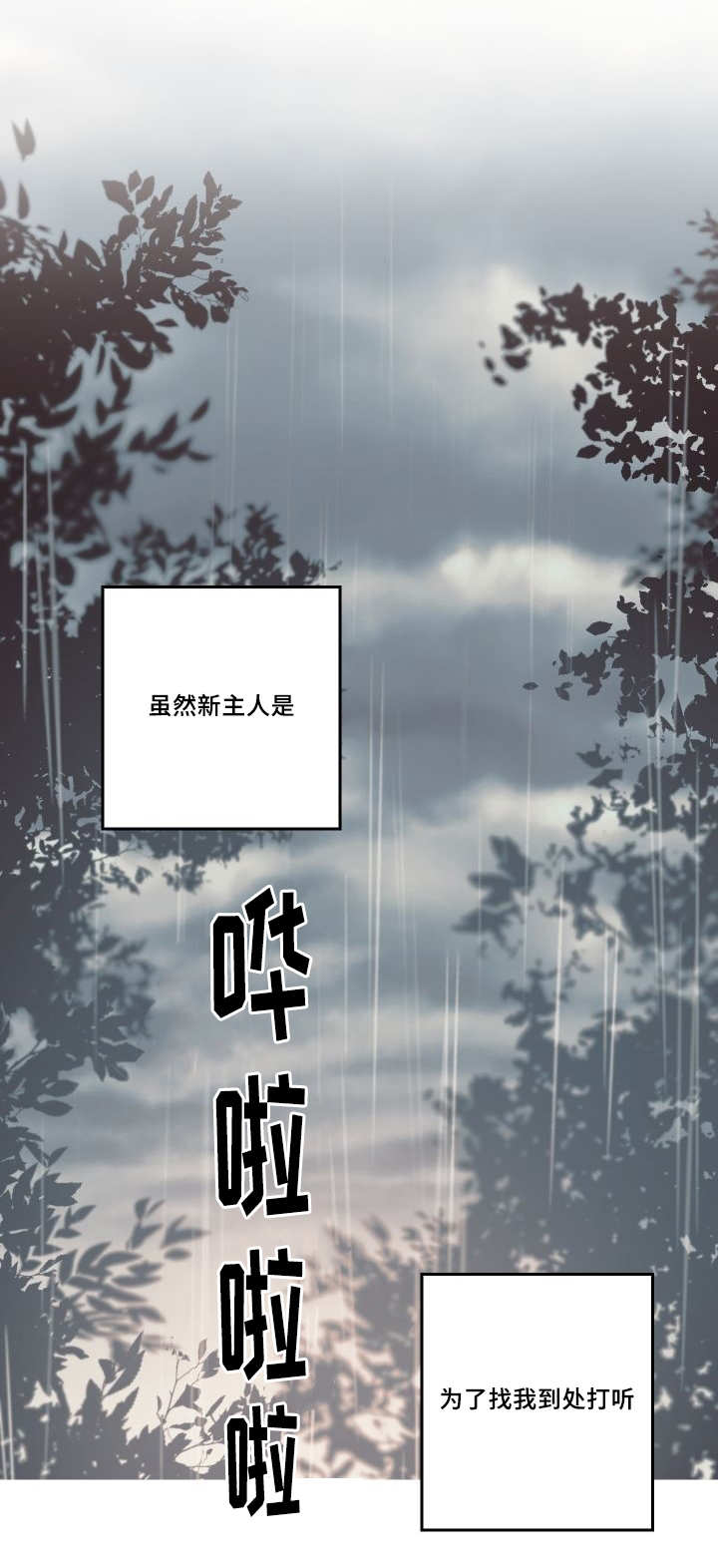 《猫的项圈》漫画最新章节第50话免费下拉式在线观看章节第【9】张图片