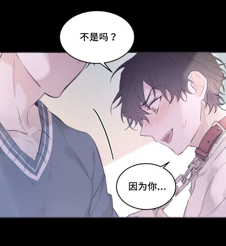 《猫的项圈》漫画最新章节第44话免费下拉式在线观看章节第【41】张图片