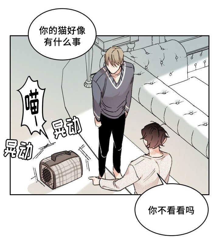 《猫的项圈》漫画最新章节第30话免费下拉式在线观看章节第【61】张图片