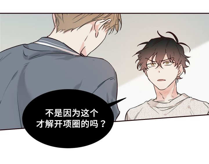 《猫的项圈》漫画最新章节第34话免费下拉式在线观看章节第【27】张图片