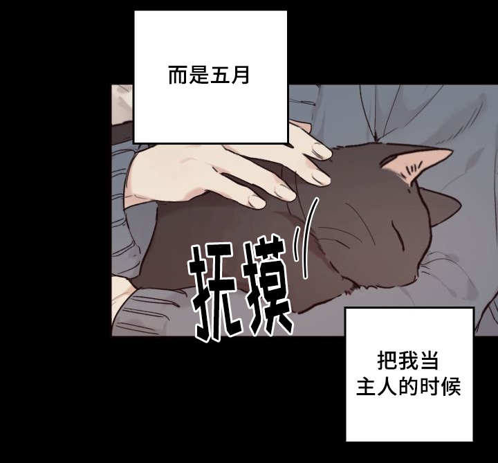 《猫的项圈》漫画最新章节第35话免费下拉式在线观看章节第【1】张图片