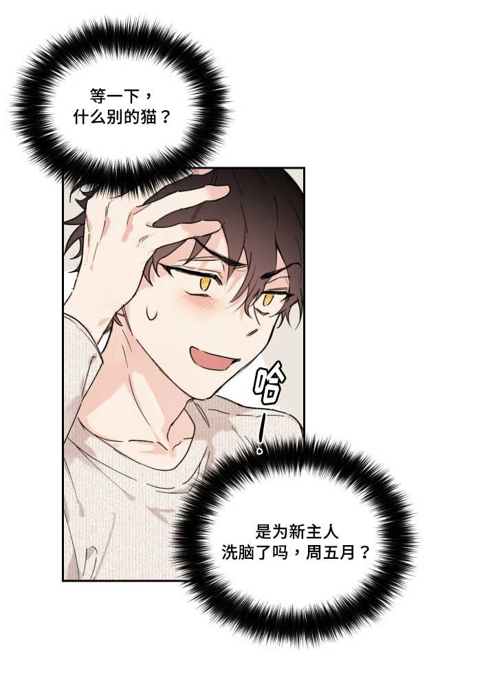 《猫的项圈》漫画最新章节第30话免费下拉式在线观看章节第【17】张图片