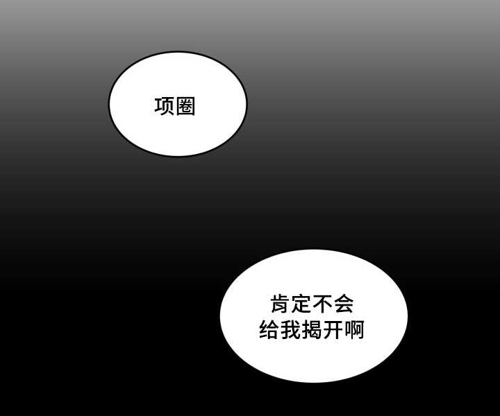 《猫的项圈》漫画最新章节第44话免费下拉式在线观看章节第【39】张图片