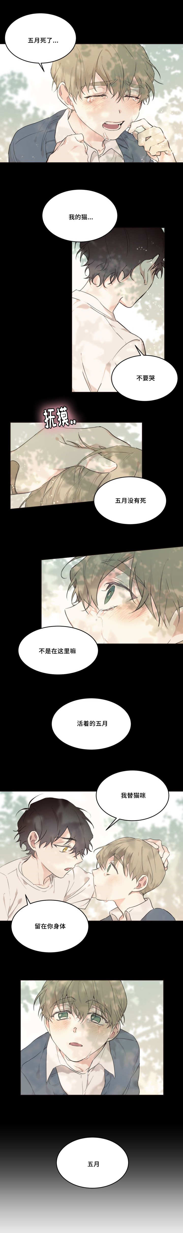 《猫的项圈》漫画最新章节第23话免费下拉式在线观看章节第【7】张图片