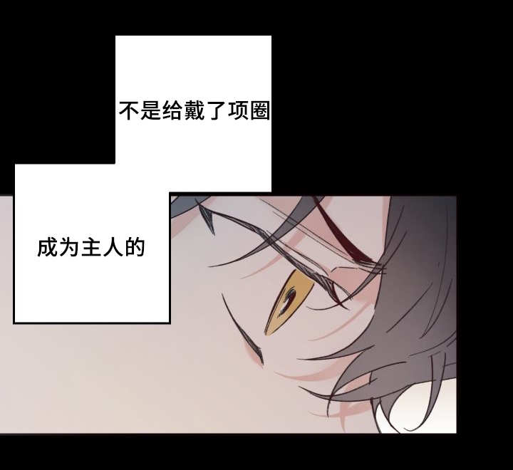 《猫的项圈》漫画最新章节第34话免费下拉式在线观看章节第【63】张图片