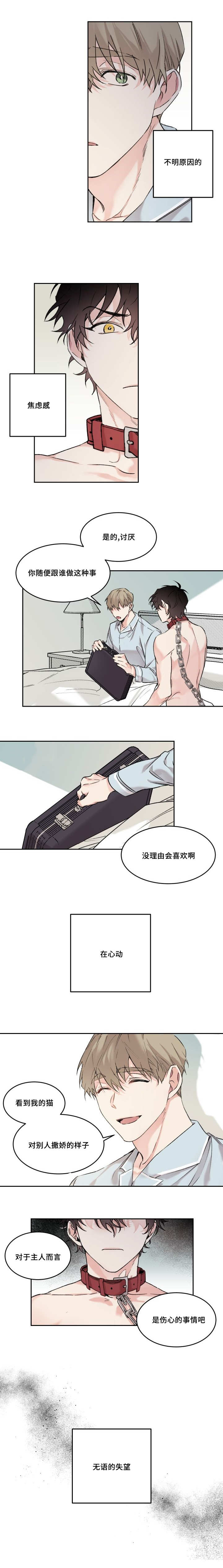 《猫的项圈》漫画最新章节第15话免费下拉式在线观看章节第【1】张图片