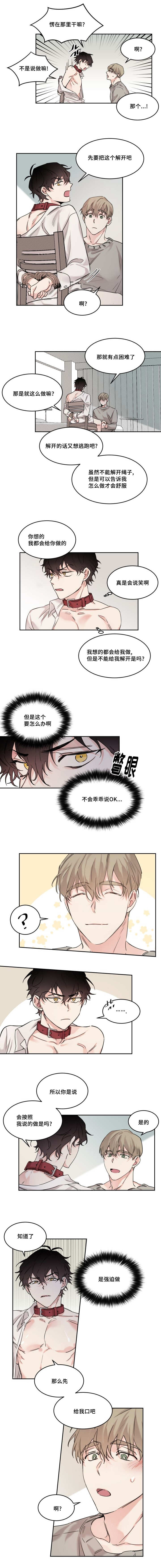 《猫的项圈》漫画最新章节第11话免费下拉式在线观看章节第【7】张图片