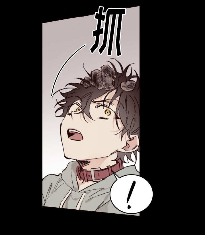 《猫的项圈》漫画最新章节第35话免费下拉式在线观看章节第【37】张图片