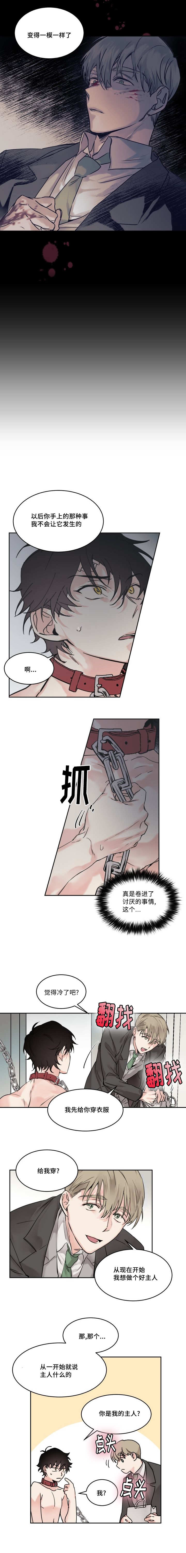 《猫的项圈》漫画最新章节第4话免费下拉式在线观看章节第【3】张图片