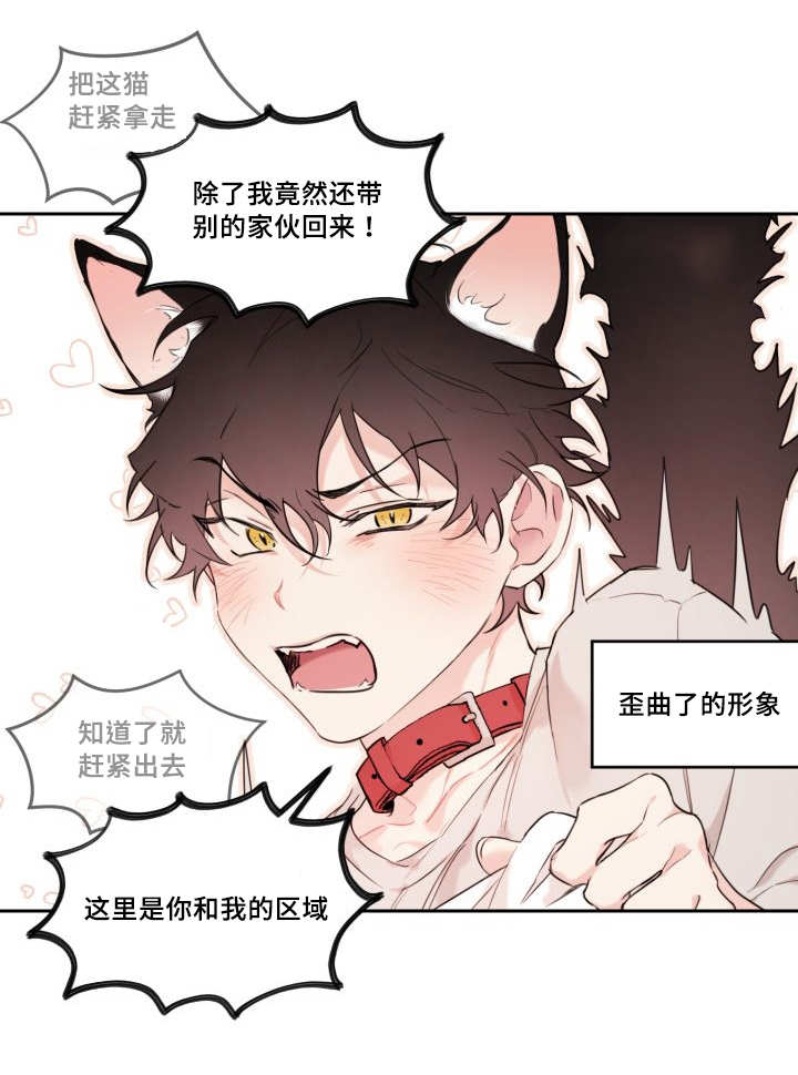 《猫的项圈》漫画最新章节第28话免费下拉式在线观看章节第【1】张图片