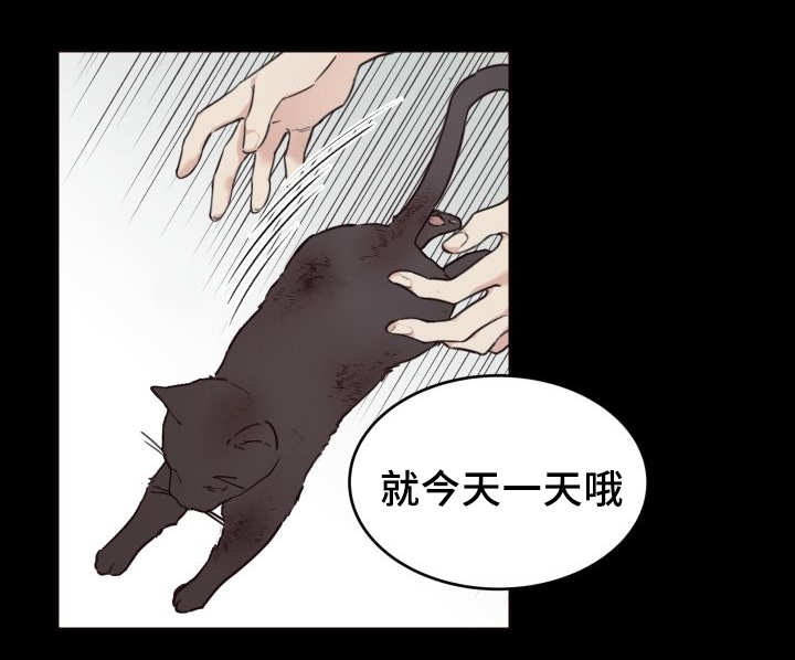 《猫的项圈》漫画最新章节第26话免费下拉式在线观看章节第【25】张图片