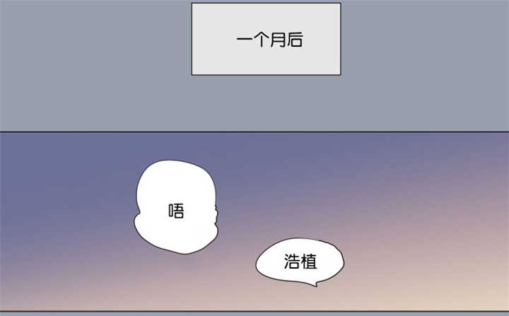 《男孕》漫画最新章节第64话免费下拉式在线观看章节第【41】张图片